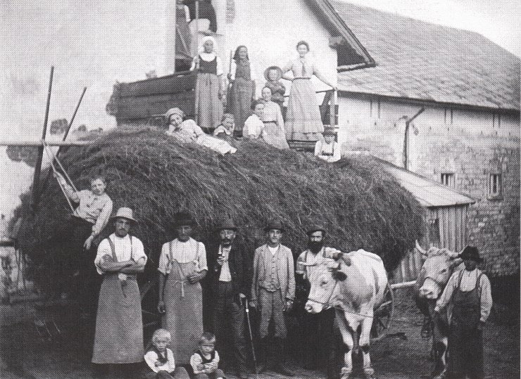 Heuernte im Gut Weinzlitz