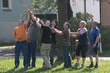 Maibaum aufstellen