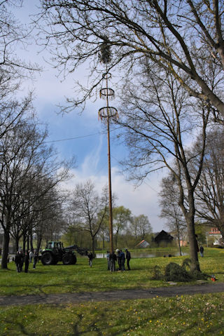 Maibaum